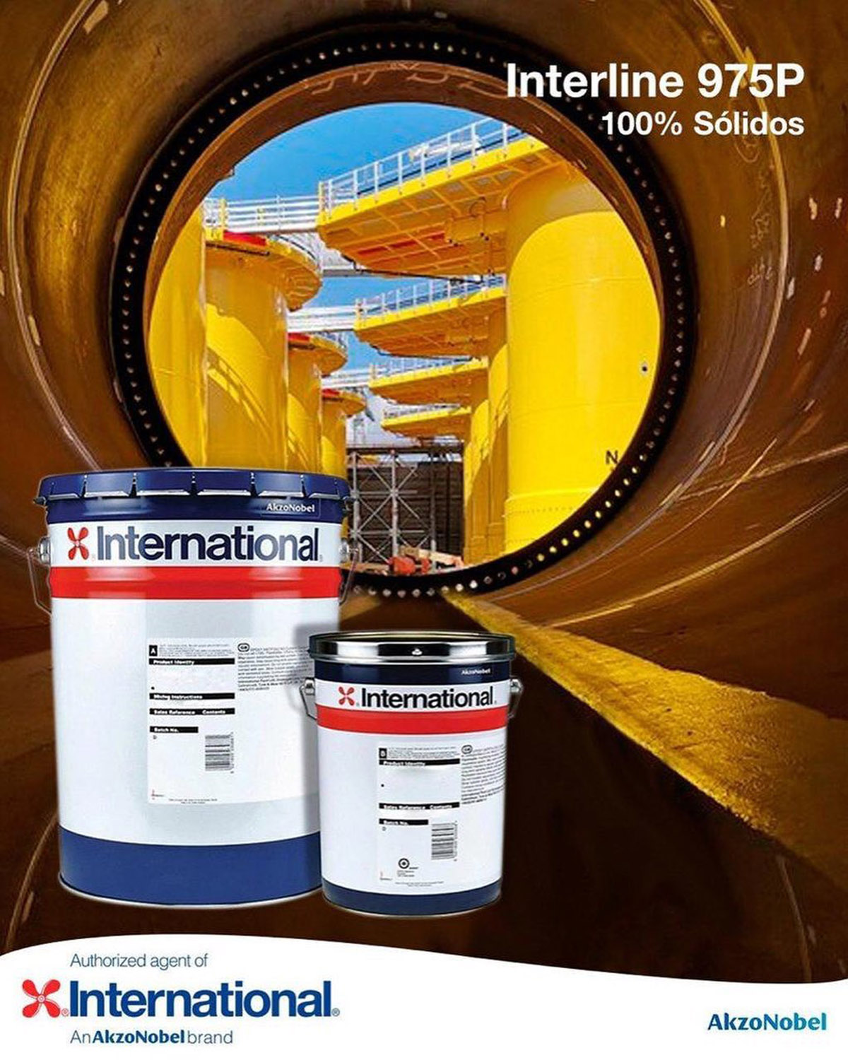 international akzo nobel